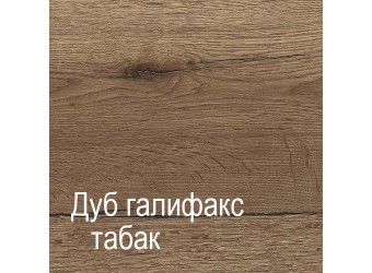 Трехстворчатый шкаф-купе для одежды Г-14 (ДГТ) Гарда с зеркалом